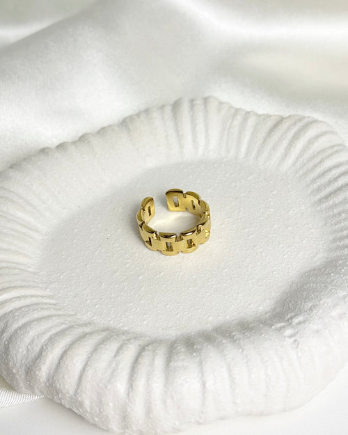 Anillo Duna